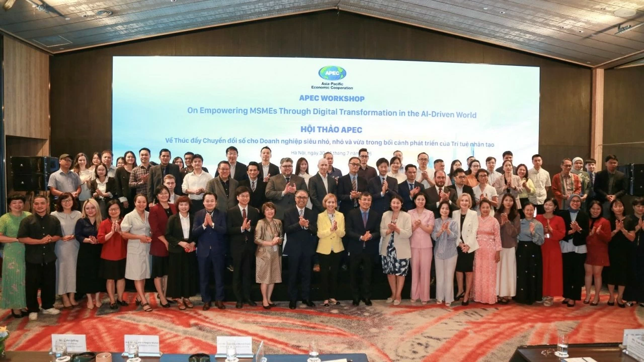 APEC Workshop on promoting digital transformation for MSMEs in the context of AI development