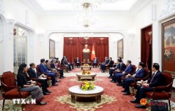 General Secretary, President To Lam receives ASEAN Ambassadors and Chargé d'Affaires on courtesy call