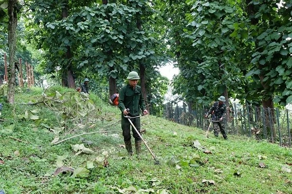 Launch of the 'Green Campaign' at A1 Hill, Dien Bien Phu Launch of the 'Green Campaign' at A1 Hill, Dien Bien Phu