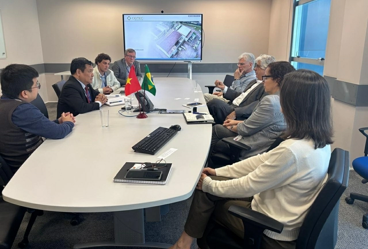 Vietnam-Brazil foster cooperation in innovation and digital transformation