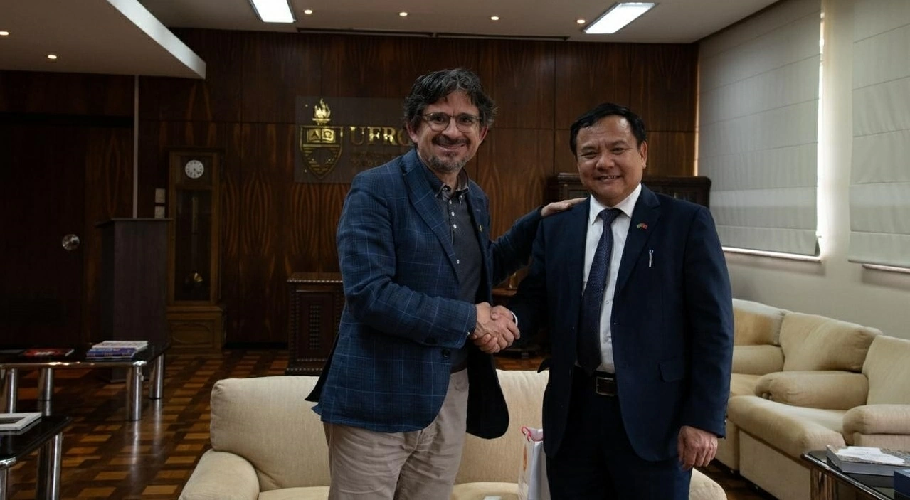 Vietnam-Brazil foster cooperation in innovation and digital transformation
