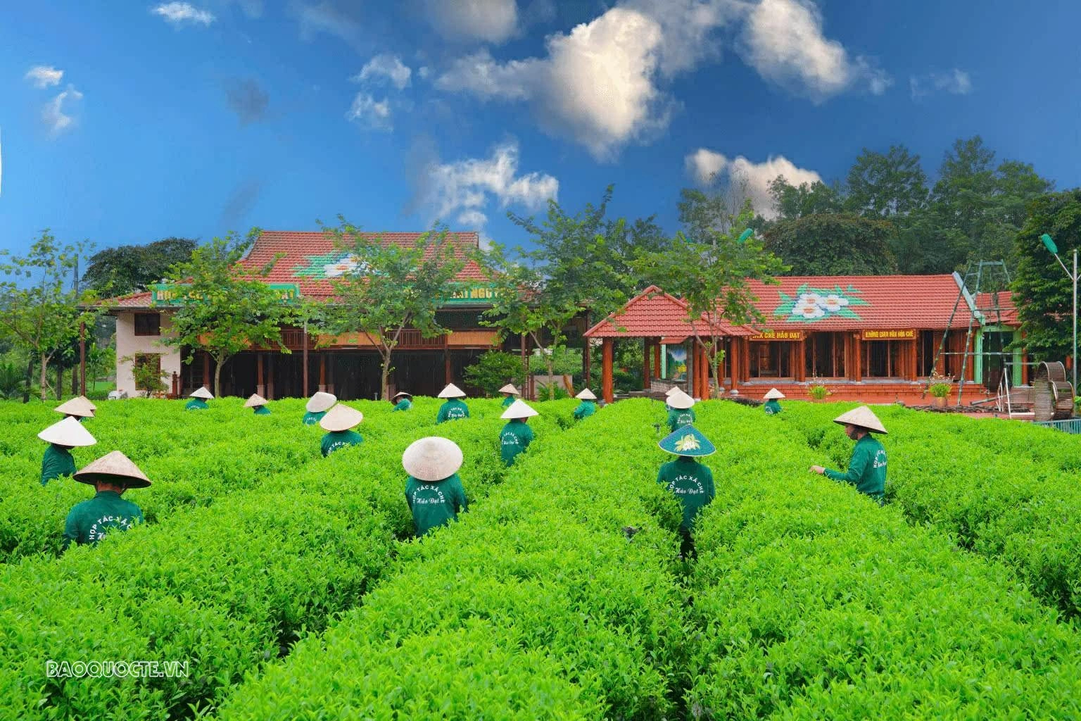 Ministry of Foreign Affairs joins Thai Nguyen in organizing International Tea Festival 2026