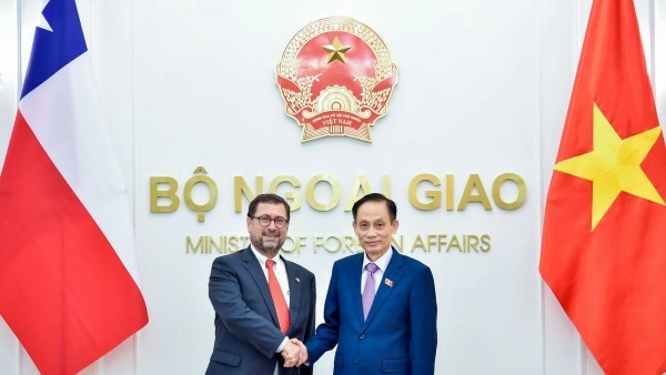 Politburo Member, Foreign Minister Le Hoai Trung holds talks with Chilean counterpart Francisco Pérez Mackenna