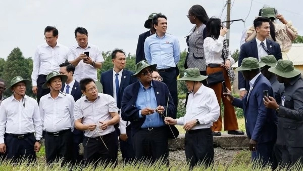 Vietnamese, Ivorian National Assembly Presidents explore agricultural development models in Can Tho