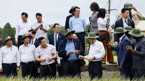 Vietnamese, Ivorian National Assembly Presidents explore agricultural development models in Can Tho