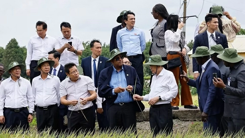Vietnamese, Ivorian National Assembly Presidents explore agricultural development models in Can Tho