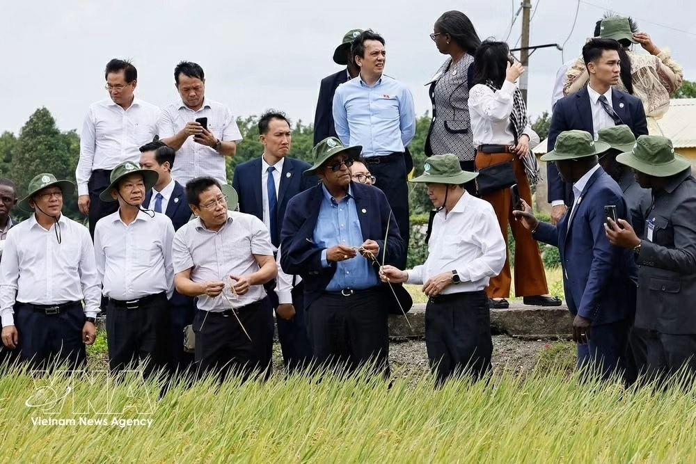 Vietnamese, Ivorian NA top leaders explore agricultural development models in Can Tho