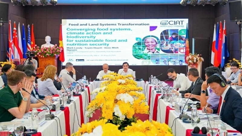 International Conference on Development Economics: Finding new drivers for Vietnam's economic growth