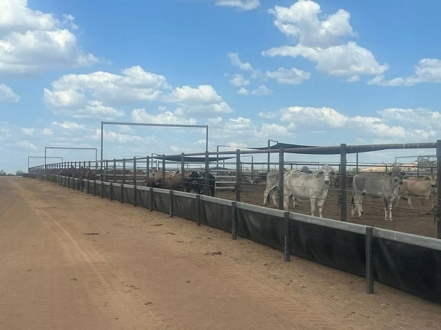 Newry Farm and the investment story of Vietnamese enterprises in Northern Territory, Australia Newry Farm and the investment story of Vietnamese enterprises in Northern Territory, Australia