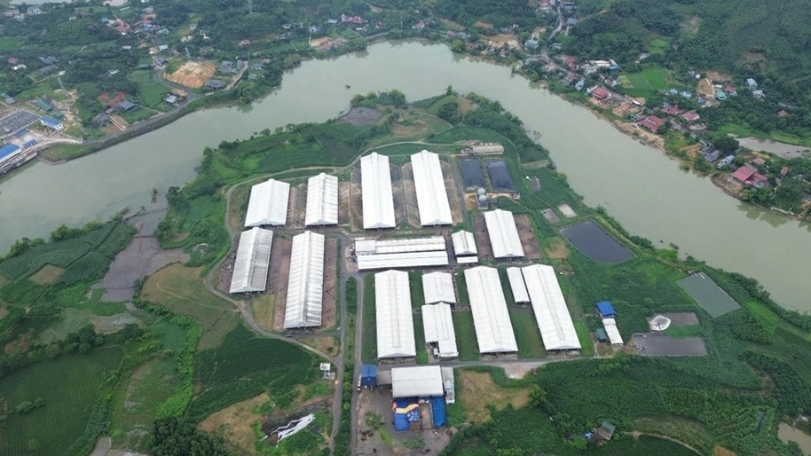 Dairy cow farming model: Creating 'skilled farmers', building new-style rural areas