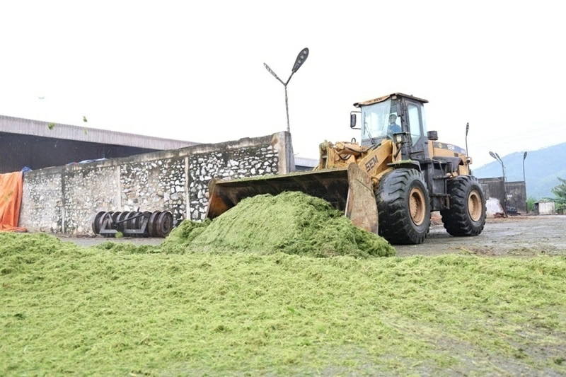 Dairy cow farming model: Creating 'skilled farmers', building new-style rural areas