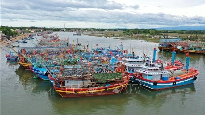 Quang Tri strengthens fishing infrastructure to boost marine economy and fishermen’s safety