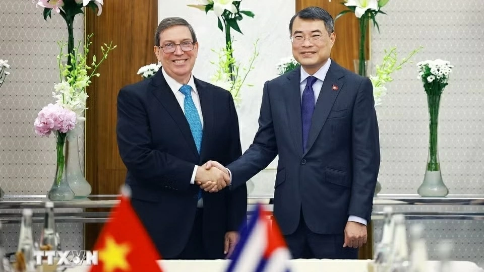 Prime Minister Le Minh Hung meets with Cuban Foreign Minister Bruno Rodríguez Parrilla