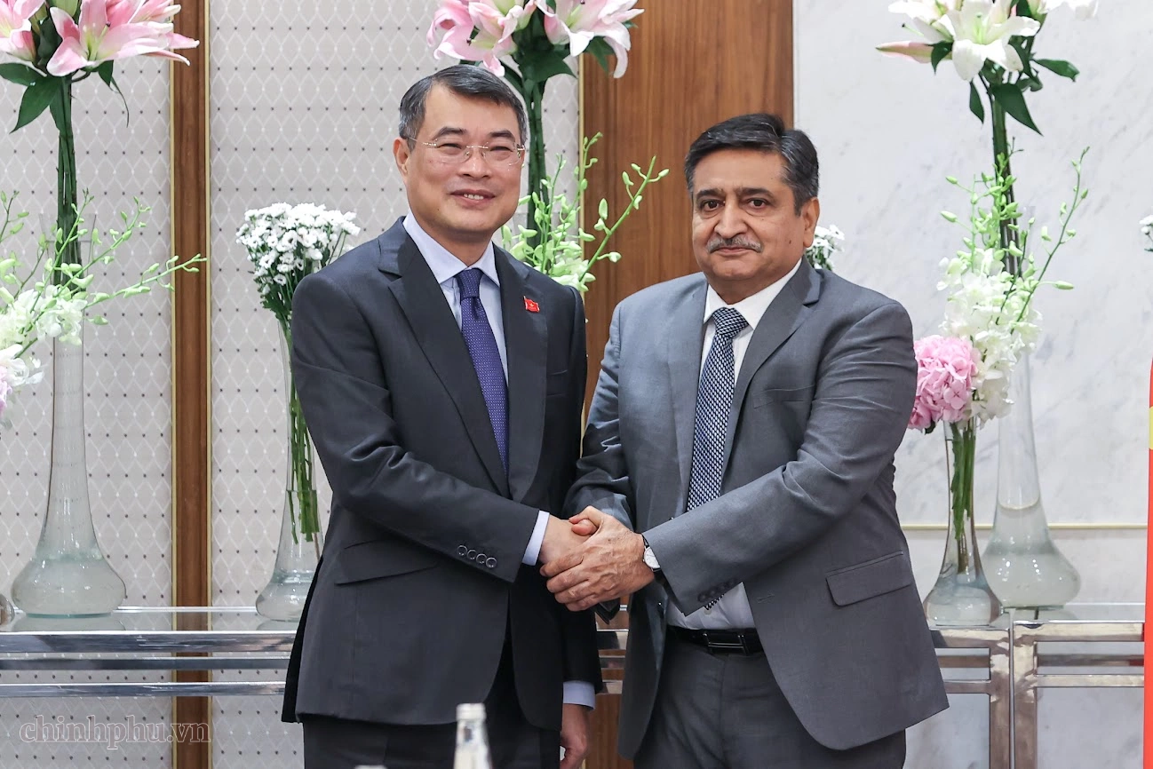 Prime Minister Le Minh Hung holds bilateral meetings at the BRICS Summit