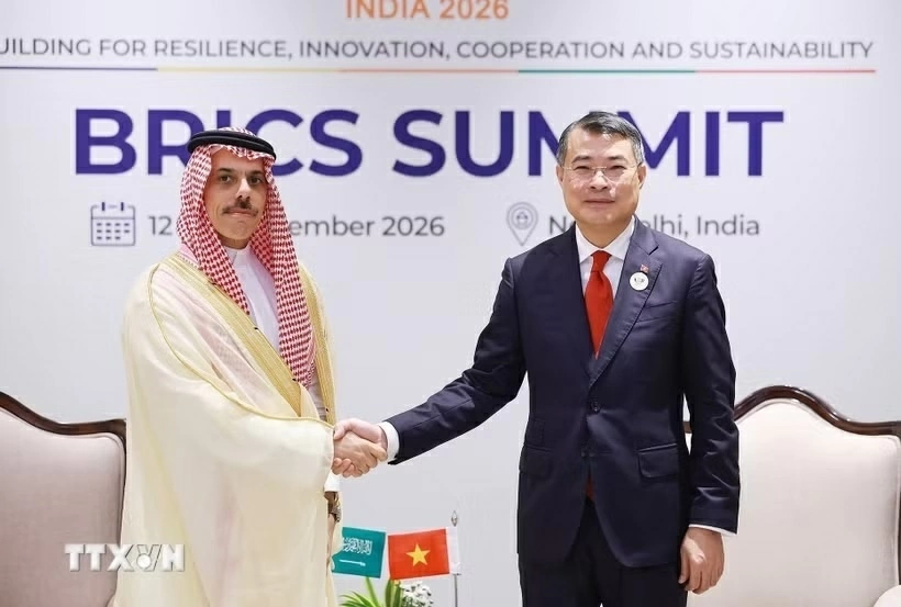 Prime Minister Le Minh Hung received Saudi Arabian Minister Foreign Affairs Prince Faisal bin Farhan Al Saud