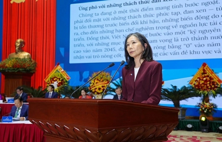 Vietnam Union of Friendship Organizations proactively adapts, enhances people-to-people diplomacy in new phase