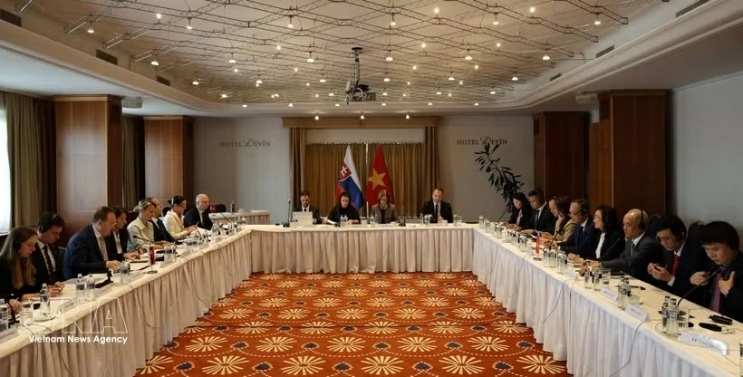 Vietnam-Slovakia intergovernmental committee on economic cooperation holds 3rd meeting in Bratislava