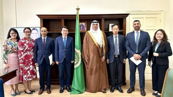 Deputy Foreign Minister Le Anh Tuan pays a working vist to Egypt