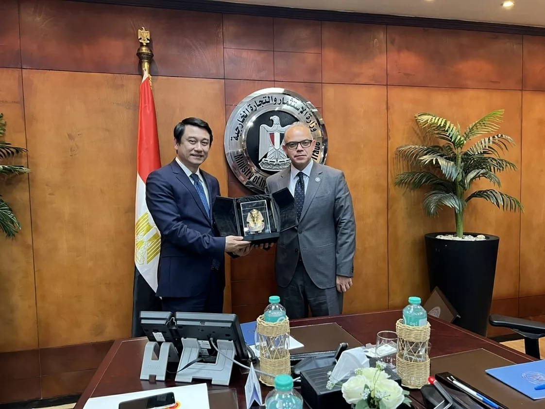 Deputy Foreign Minister Le Anh Tuan pays a working vist to Egypt