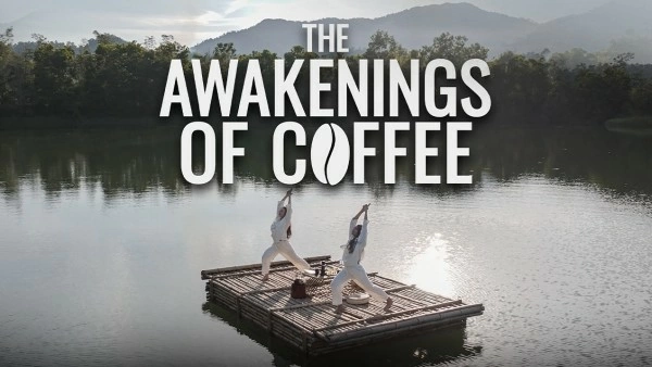 The Tao of Coffee's mark on the homeland of Japanese tea art