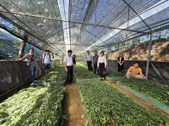 Business trip to Lai Chau: Promoting Vietnam - Republic of Korea cooperation from local potential Business trip to Lai Chau: Promoting Vietnam - Republic of Korea cooperation from local potential