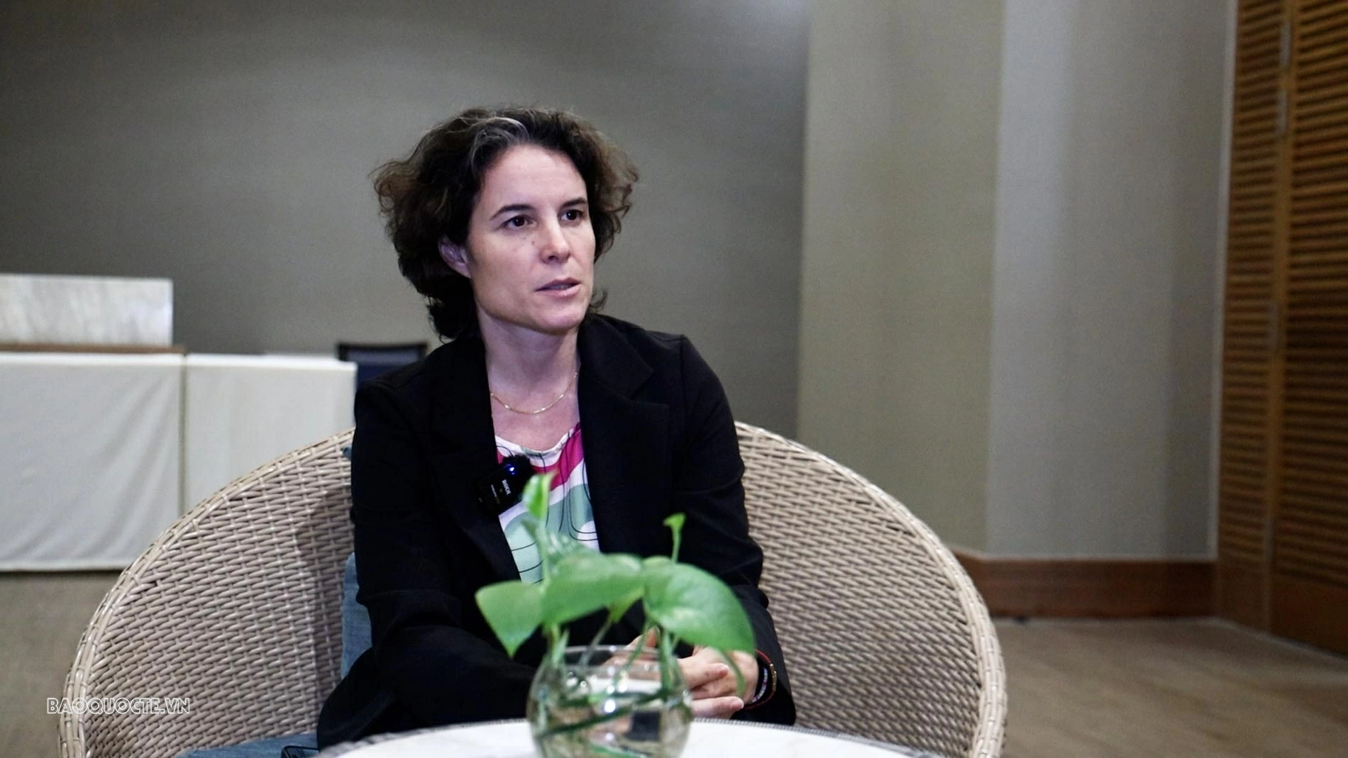 UNDP: Vietnam advances in applying the Méndez Principles, strengthening the rule of law