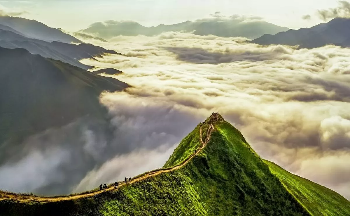 Vietnam tourism continues to make its mark at World Travel Awards 2026 Vietnam tourism continues to make its mark at World Travel Awards 2026