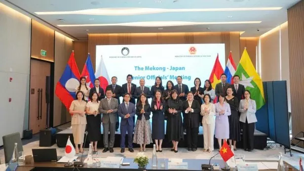 Vietnam proactively promotes new momentum for Mekong Sub-Regional cooperation: Deputy FM Nguyen Minh Hang
