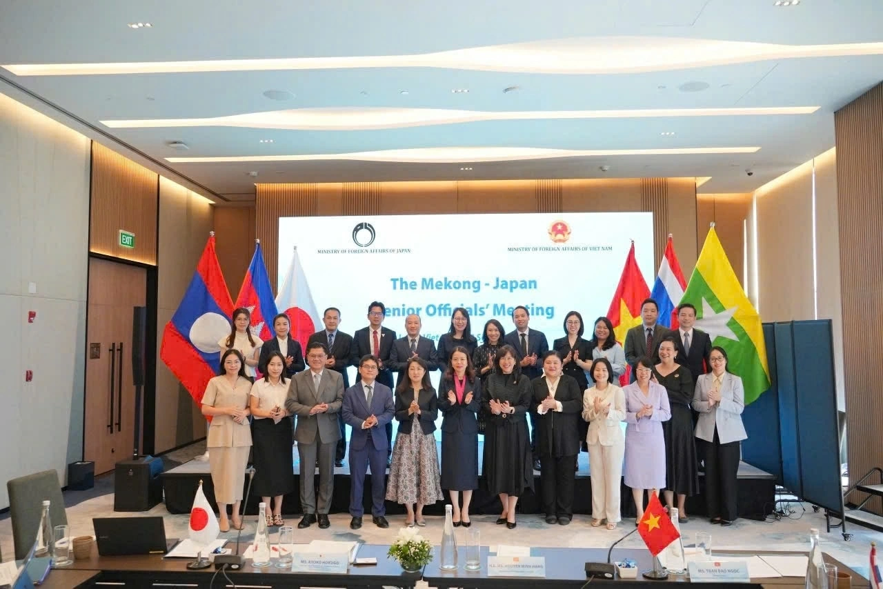 Vietnam proactively promotes new momentum for Mekong Sub-Regional cooperation: Deputy FM Nguyen Minh Hang