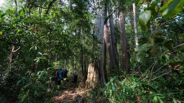 Tour following rangers on patrol in Cat Tien National Park nominated for World Tourism Award