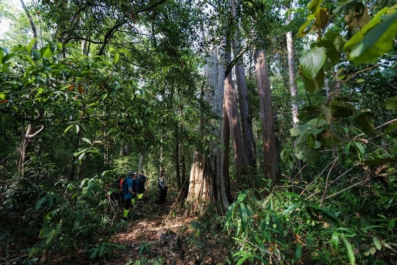 Tour following rangers on patrol in Cat Tien National Park nominated for World Tourism Award Tour following rangers on patrol in Cat Tien National Park nominated for World Tourism Award