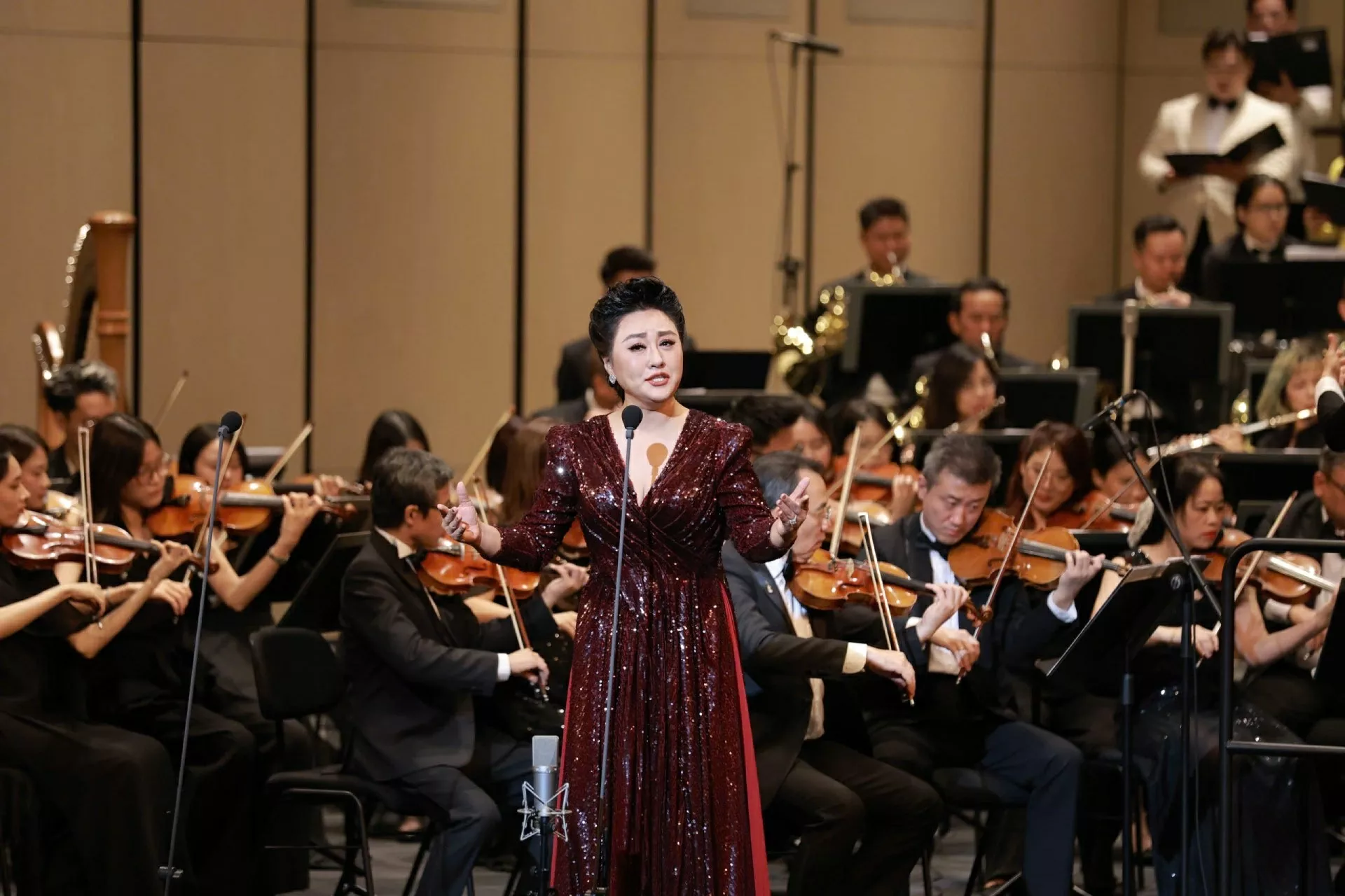 Art program 'Harmony of China-Vietnam': When friendship resonates in every melody Art program 'Harmony of China-Vietnam': When friendship resonates in every melody