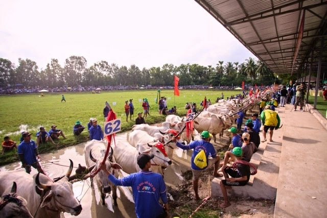 Binh Dien and 5 years of extending the legacy of Bay Nui Ox Racing