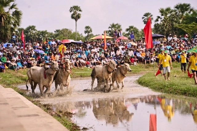 Binh Dien and 5 years of extending the legacy of Bay Nui Ox Racing