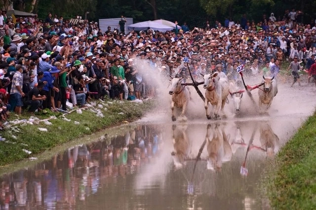 Binh Dien and 5 years of extending the legacy of Bay Nui Ox Racing