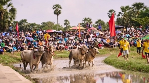 Binh Dien and 5 years of extending the legacy of Bay Nui Ox Racing