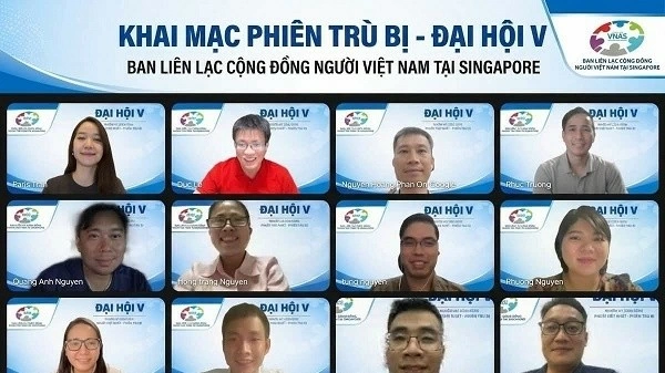 Building a connected, professional, and sustainable Vietnamese community ecosystem in Singapore