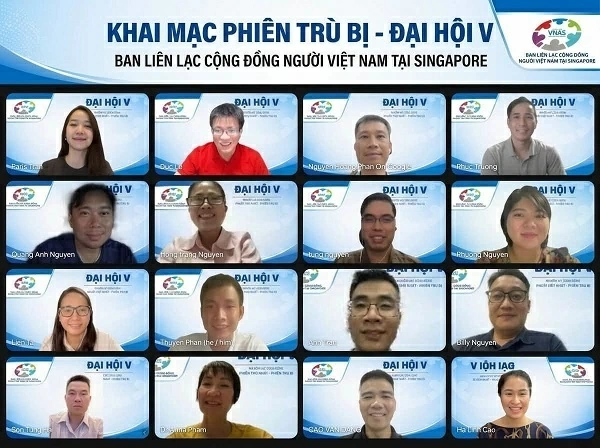 Building a connected, professional, and sustainable Vietnamese community ecosystem in Singapore