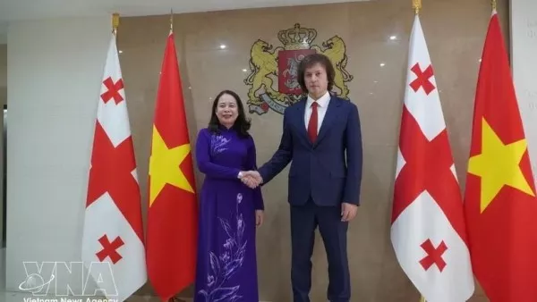 Vice President Vo Thi Anh Xuan holds talks with Georgian PM Irakli Kobakhidze to deepen bilateral cooperation