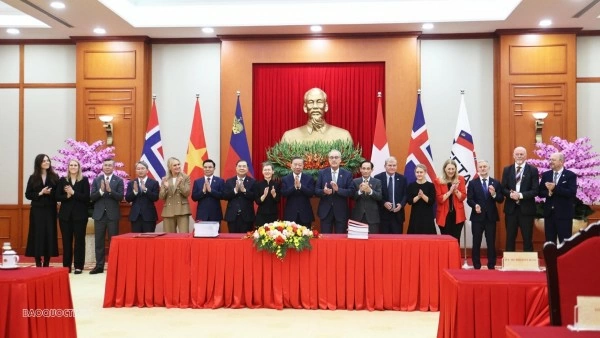 VEFTA Agreement: Expanding cooperation space, elevating integration quality
