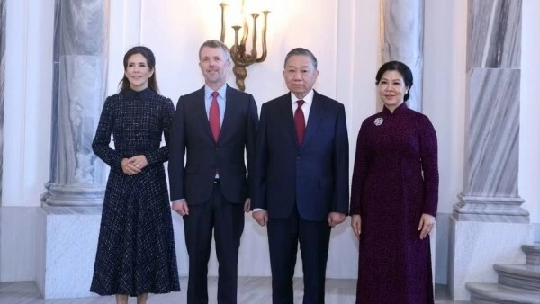Vietnam treasures time-tested friendship, multifaceted cooperation with Denmark: General Secretary, President To Lam