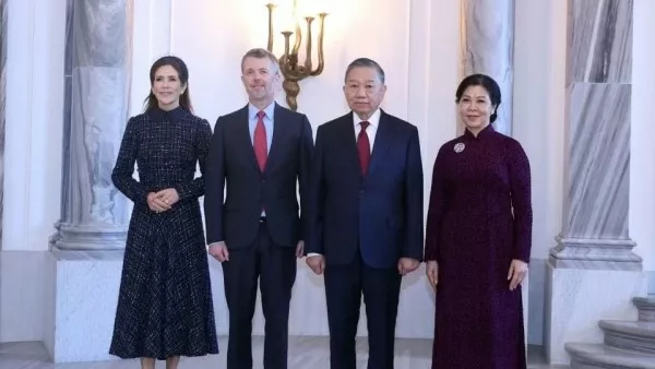 Vietnam treasures time-tested friendship, multifaceted cooperation with Denmark: General Secretary, President To Lam