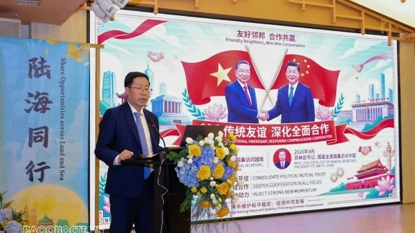 Promoting effective bridge roles, enhancing multilateral cooperation between Vietnam and Chongqing (China)