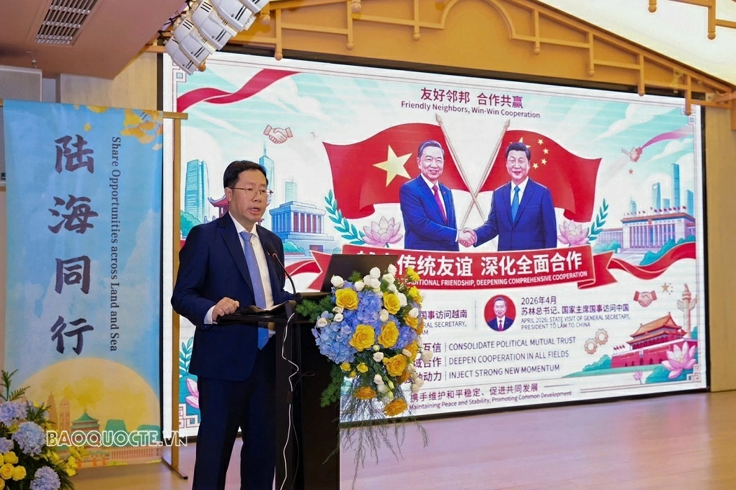 Promoting effective bridge roles, enhancing multilateral cooperation between Vietnam and Chongqing (China)