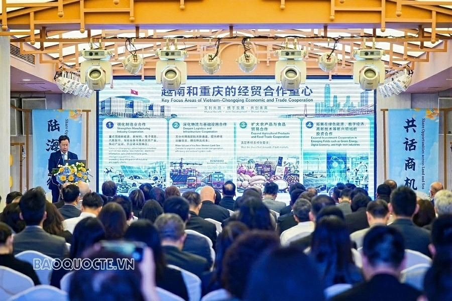 Promoting effective bridge roles, enhancing multilateral cooperation between Vietnam and Chongqing (China)