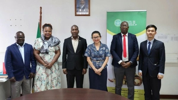 Ambassador Tran Thi Thu Thin works with Director of Mozambique Cashew Institute to enhance cooperation on potential agricultural products
