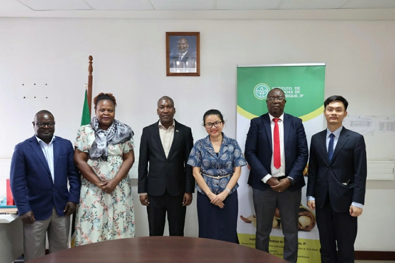 Ambassador Tran Thi Thu Thin works with Director of Mozambique Cashew Institute to enhance cooperation on potential agricultural products Ambassador Tran Thi Thu Thin works with Director of Mozambique Cashew Institute to enhance cooperation on potential agricultural products