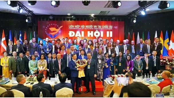 Unity for strength, integration for development: Ambassador Duong Hoai Nam