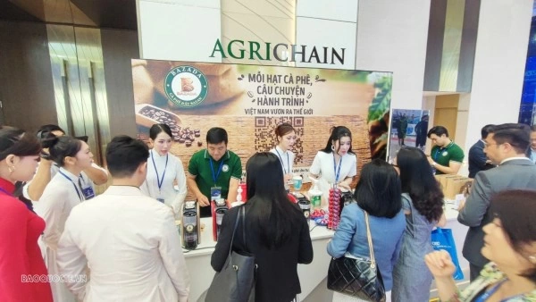 AEF 2026: Unlocking Vietnamese Coffee's opportunities in the Chinese market
