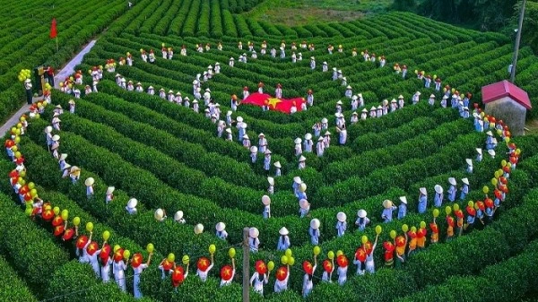 Cultural Tea Experience for the Diplomatic Corps at the International Tea Festival – Thai Nguyen 2026